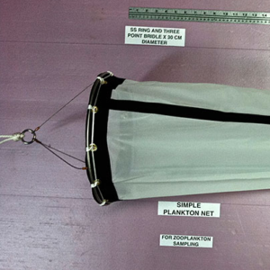 Rind and Bridle Assembly