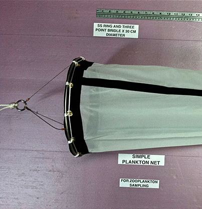 Rind and Bridle Assembly