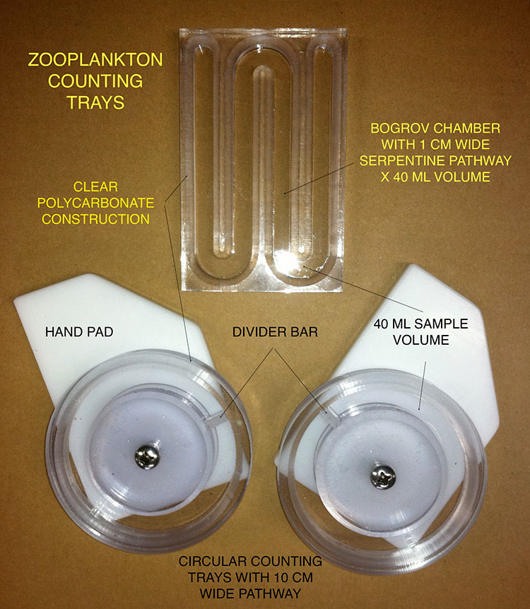 Zooplankton Counting Tray